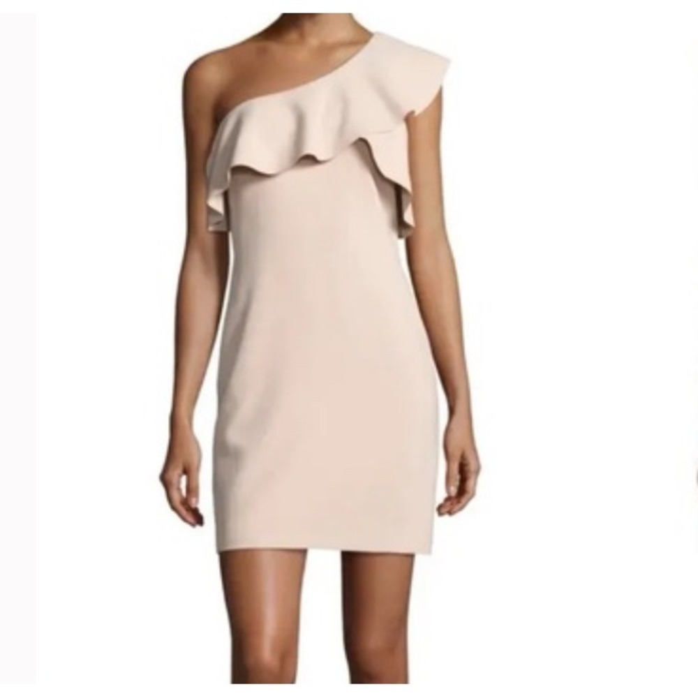 Elizabeth and‎ James Dress One Shoulder Ruffle Sleeveless Mini Party